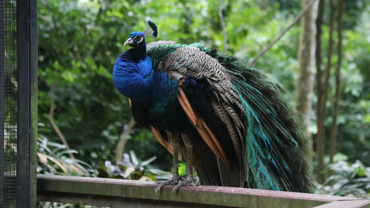 裕廊自駕遊玩樂推薦：飛禽公園與湖畔公園的最佳體驗